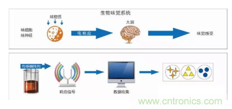 仿生傳感器的定義、原理、分類及應(yīng)用