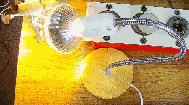 電燈泡內通有交流電，為什么看不到燈泡在閃爍？